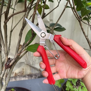 Pinheng Garden Shears Stainless Steel 20-30 Mm Bypass Pruner For Thick Branches And Fruit <b>Trees</b> Red Handle Floral Trim <b>Tool</b> - Product Image 3