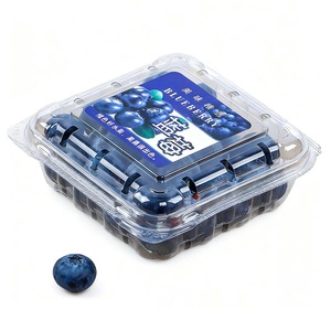 Scatola di imballaggio a conchiglia di mirtilli per animali domestici - Product Image 4
