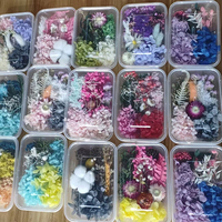 Bunga Kering Alami Grosir Lavender & Bunga Cengkeh untuk Hari Ibu, Pernikahan, dan Dekorasi Pewangi