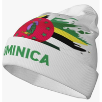 Chapeau tricoté avec drapeau du Belize pour femmes et hommes, chapeau tricoté à la mode, chapeaux chauds d'hiver, bonnet de ski doux et extensible, unisexe