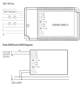 다운 라이트 사용 2 채널 출력 Led CCT Dimmable DT8 40W 디밍 달리 드라이버