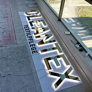 Custom 3D Acrylic & Stainless Steel LED <b>Illuminated</b> Raised Letter Business Brand Signage for Office/Boutique Use - Product Image 2