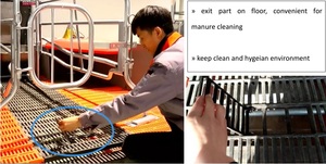 กรงคลอดสุกรแบบขายส่ง สะดวกสบาย - Product Image 4