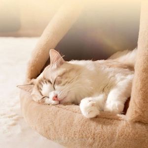 Pet Warm <b>Tent</b> Nest Rabbit Plush Crystal Velvet Looped Fleece Lining Multi-layer Solid Luxury Modern Anti-Slip Easy Clean - Product Image 5