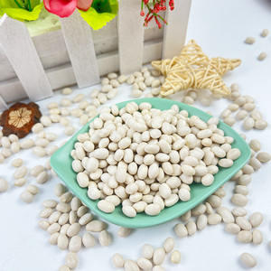 Trực Tiếp Từ Trung Quốc Số Lượng Lớn Các Loại Khác Nhau của Trắng Thận Đậu Và Hải Quân Đậu Nguyên Liệu Và Khô Cho Thực Phẩm Sử Dụng - Product Image 2
