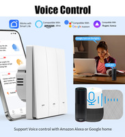 Interruptor de Luz Inteligente WiFi con Control Remoto, Temporizador Activado por Voz, Ahorro de Energía Doméstico, Compatible con Alexa y Google