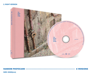 BTS YOU NEVER WALK ALONE Album CD Spécial Incluant Blood Sweat Tears et Spring Day Style K-pop Hip Hop Édition Deluxe Cadeau pour les Fans - Product Image 2