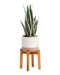 Unique Design Wooden Stand Ceramic Flower <b>Pot</b> With Metal Base For Indoor And Outdoor Spaces Available At Best Market Price - Product Image 1