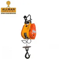 Allman 110 Volt tipo monofase paranco elettrico 500kg uso costruzione Mini paranco
