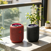 Équipement audio sans fil IPX7 5.3, étanche, éclairage LED RGB, enceinte portable