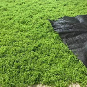 Arrangement de fleurs de simulation de mousse verte artificielle pour Noël Pâques Nouvel An Célébration <span class=keywords><strong>Faux</strong></span> Matériel Affichage de fleurs - Product Image 2