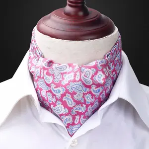 Hamocigia कस्टम पुरुषों फैशन रेशम शाही पैस्ले नेकटाइयां टाई के साथ एस्कॉट Cravat उपहार बॉक्स