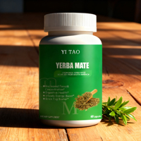 Capsules de thé mate haute concentration, marque privée, antioxydants naturels, boost d'énergie doux, favorisent le métabolisme et la concentration