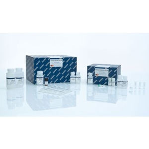 Kit QIAGEN QIAamp DNA Mini 250, Reactivo de Extracción de ADN Genómico - Product Image 1