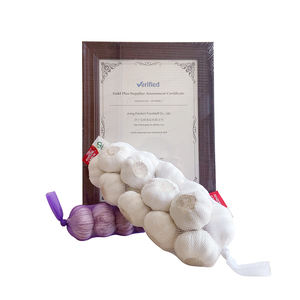 <span class=keywords><strong>Ajo</strong></span> Fresco de 5.5cm, Alho Fresco, <span class=keywords><strong>Ajo</strong></span> Chino Fresco, Semillas de <span class=keywords><strong>Ajo</strong></span> Blanco, Rojo y <span class=keywords><strong>Morado</strong></span> para Plantar - Product Image 1