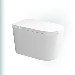 BAILU A-011 Basic Glazed Ceramic Toilet Accessories Modern WC Bathroom Toilets Guangdong Luxury 220v Toilet Bidet