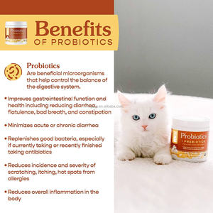 Probiotiques en gros OEM ODM pour chiens et chats, probiotiques en poudre entièrement naturels de force maximale, 5 milliards d'UFC par dose - Product Image 3