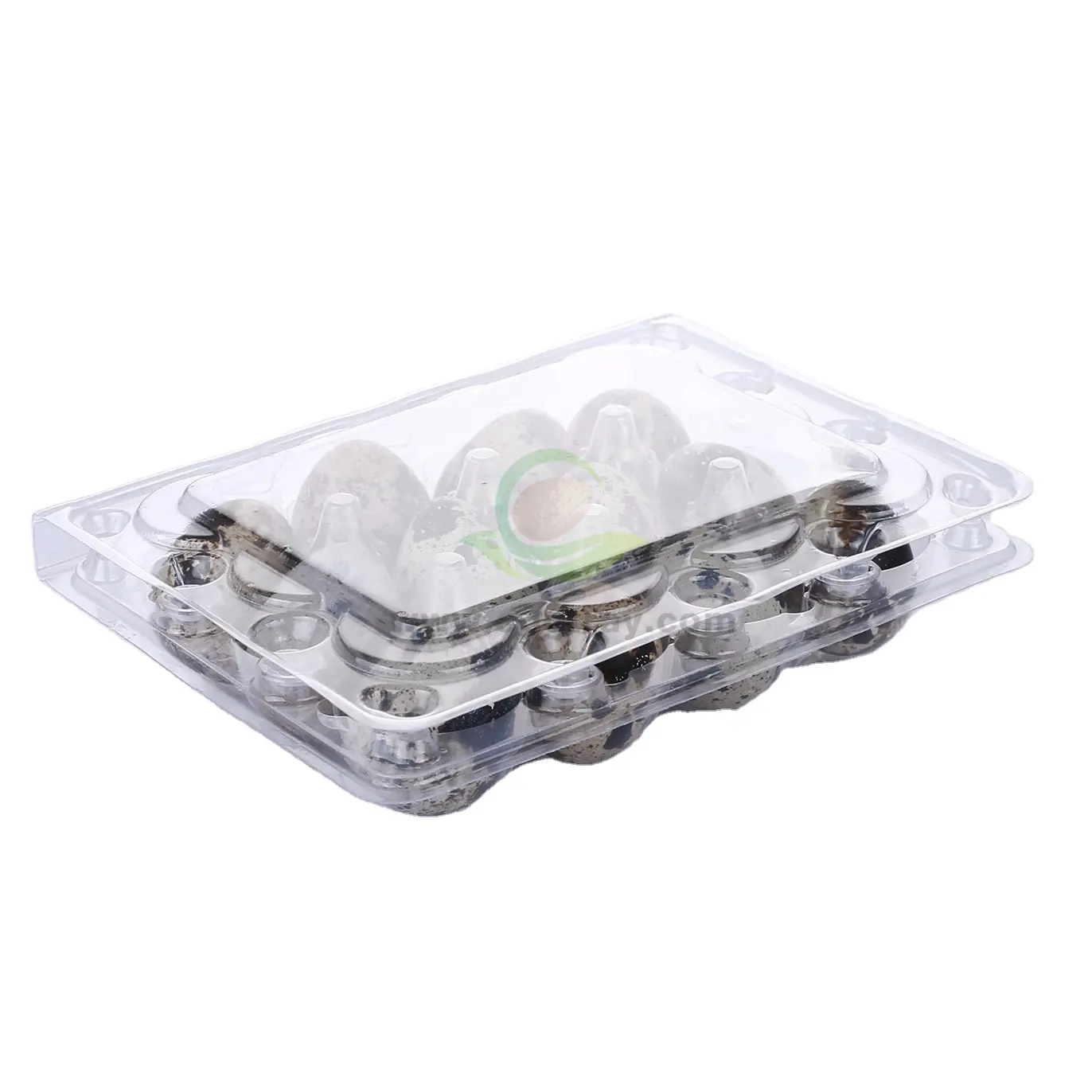 12 Löcher Wachtel Eier ablage Verpackung klar Einweg Kunststoff Wachtel Eier ablage