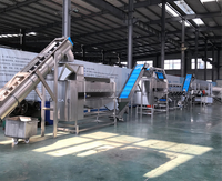 Équipement automatique de fabrication de chips de pommes de terre / Ligne de production de frites