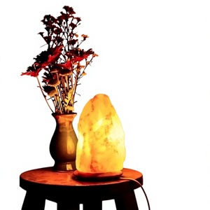 Hot Sale USB Natural Himalayan Mini Salt Lamp Wooden Base for Room Decoration Hand Carved Pure Quality Night Himalayan Salt Lamp - Product Image 1