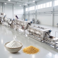 Productielijn voor aardappelchips met beste prijs-kwaliteitverhouding, 500 kg/uur, voor kleine en middelgrote fabrieken, voor voorgekookte chips, drogen en malen.