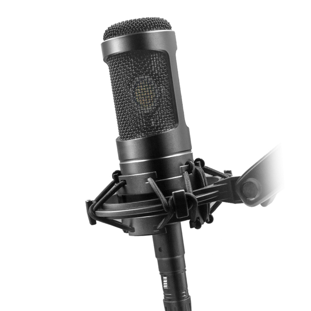 AT2035 Large Diaphragm Cardioid Condenser XLR Microphone with Shock Mount for Studio Recording Vocal Podcasting Live Streaming