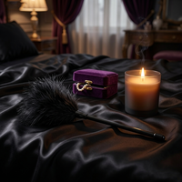 Fouet court noir sexy à plumes pour chatouilles, bâton de stimulation sensorielle pour préliminaires, palette de flirt corporel pour couples