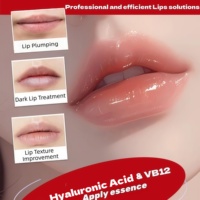 Sérum pour les lèvres à l'acide hyaluronique HA et à la vitamine B12 20 mg/mL Correction de la couleur des lèvres foncées Volume naturel Brillant Hydratant Soin des lèvres