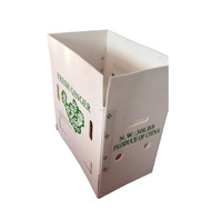 Boîtes de rangement industrielles en PP ondulé, personnalisées, imperméables, durables, empilables et pliables pour l'électronique
