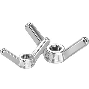 Tianzhuo Hardware 304 Stainless Steel Wing Nut M6-24 Hand Tightening Butterfly Shape For Construction Repair - Product Image 1