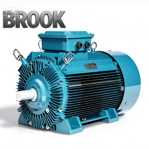 Moteur BROOK 5.5hp 7.5hp 10hp 15hp 20hp 50hp 60hp 90hp 200hp Moteur asynchrone triphasé en fonte - Product Image 1
