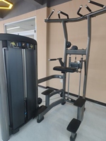 Équipement de gym professionnel haut de gamme pour usage commercial, vente en gros directe usine, machine d'assistance pour tractions et dips