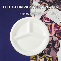 Assiettes rondes biodégradables en bagasse compostable à 3 compartiments de 9 pouces pour le camping