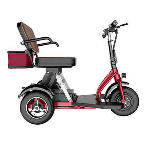 2025 접이식 사람들의 뜨거운 판매화물 전기 세발 자전거 48v 성인 3 륜 차량 저렴한 성인 전자 자전거 오픈 바디 타입 - Product Image 5