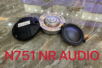 Tweeter de subwoofer 100W à pleine fréquence en néodyme, longue portée, son réel, étanche, coque métallique pour boîte à haut-parleur vide N751