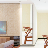 Glass Full Length Wall Mirror Tiles Frameless Full Body Mirror Candle Plate Personal Design Product Make up Mirror