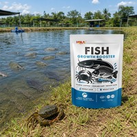 Complément alimentaire personnalisable OEM pour la croissance et la santé des poissons