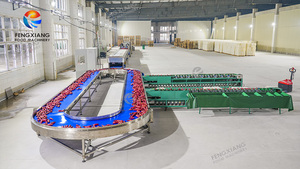 Ligne de traitement automatique de patates douces Fengxiang : trempage, tri, lavage, séchage, emballage – Solution personnalisée pour les exploitations agricoles - Product Image 5