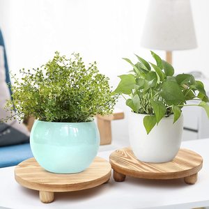 Lot de 2 plateaux ronds en bois sur pieds élégants pour la présentation de plantes d'intérieur sur comptoir de cuisine ou pour la décoration - Product Image 1