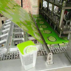 Remplissage de tasse en plastique automatique et machine de cachetage pour l'emballage de yaourt de crème glacée de l'eau