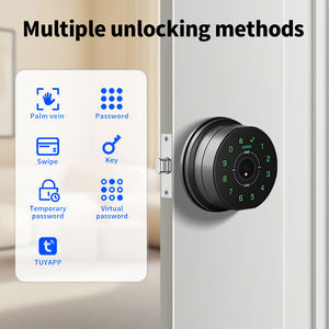 <span class=keywords><strong>Serrure</strong></span> de porte intelligente OEM/ODM à reconnaissance de veine palmaire avec clavier et alimentation de secours pour les constructeurs de maisons en Amérique du Nord - Product Image 5