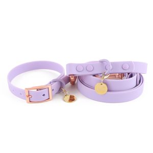 Correa recubierta de silicona para perro, conjunto de Collar de PVC liso con placa de nombre y personalidad, resistente al agua - Product Image 6