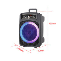 Mini enceinte amplifiée sans fil de 8 pouces, portable, active, pour l'extérieur