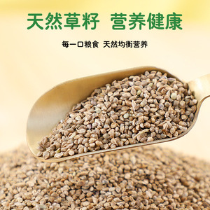 Mélange de graines pour oiseaux, pour perroquets, perruches, calopsittes, gouramis, conteneur en plastique de 1200ml, nourriture réutilisable pour animaux de compagnie - Product Image 4