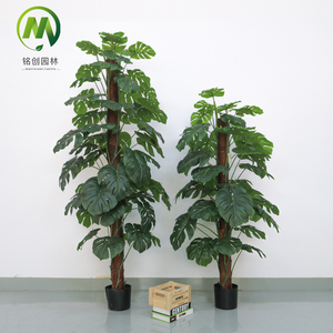 Planta Artificial de Hoja de Tortuga, Altamente Realista, Ecológica, de Plástico, para Interiores/Exteriores, en Maceta, Precio de Fábrica - Product Image 5