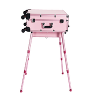Trousse de maquillage pliante avec tiroirs Studio Makeup Artist Cosmetic Case avec ampoule réglable Leg Mirror Cosmetic Box