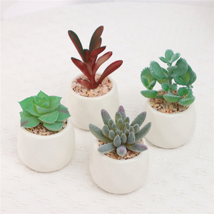 Juego de 4 Plantas Suculentas Artificiales Duraderas en Maceta de Cerámica Blanca para Decoración de Escritorio, Uso Interior/Exterior, Greatflower, MOQ Bajo - Product Image 1