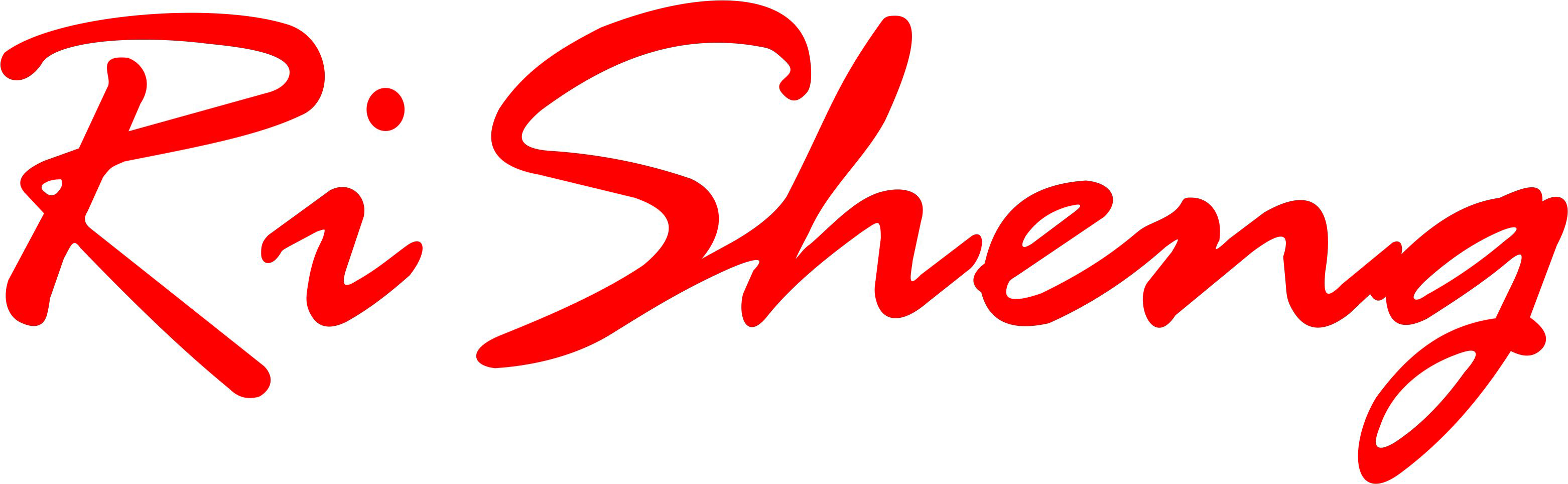 Dongguan Risheng Printing Co., Ltd. logo