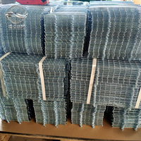 Grille de protection robuste en treillis métallique pour ventilateur de poulailler, système d'évacuation de chaleur pour serre agricole