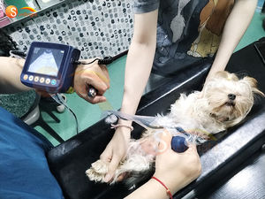 Instruments médicaux numériques à ultrasons pour animaux Usg chat chien vache mouton bétail cochon chèvre grossesse ultrasons - Product Image 4